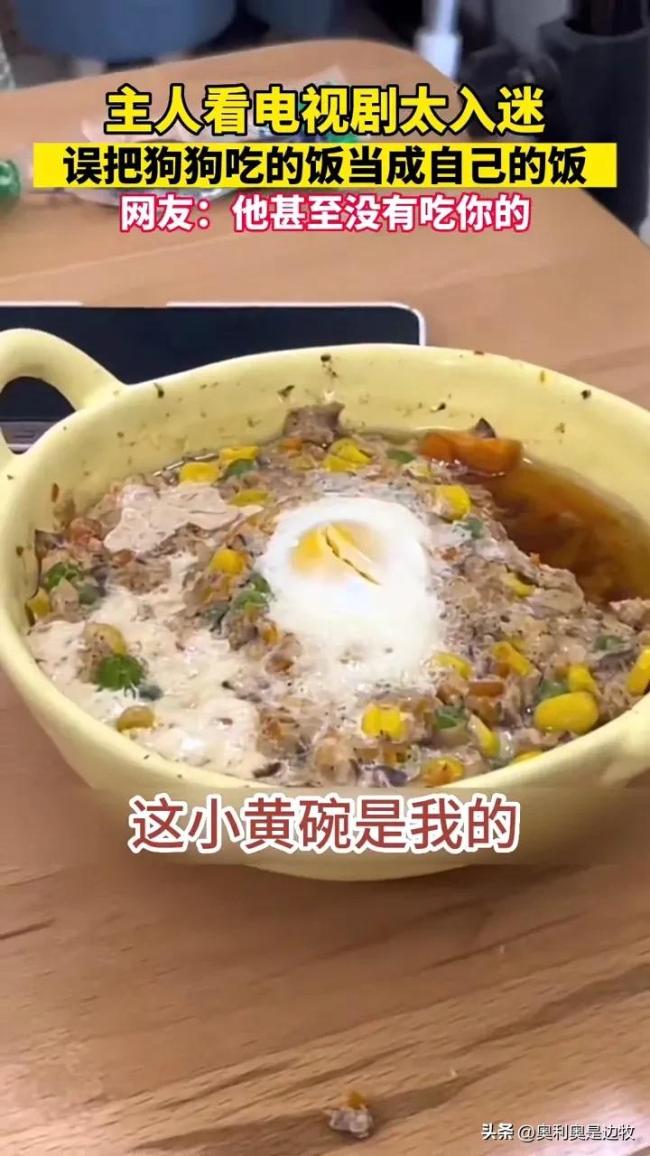 主人误将狗饭当成自己的 吃了一半才发现味道不对