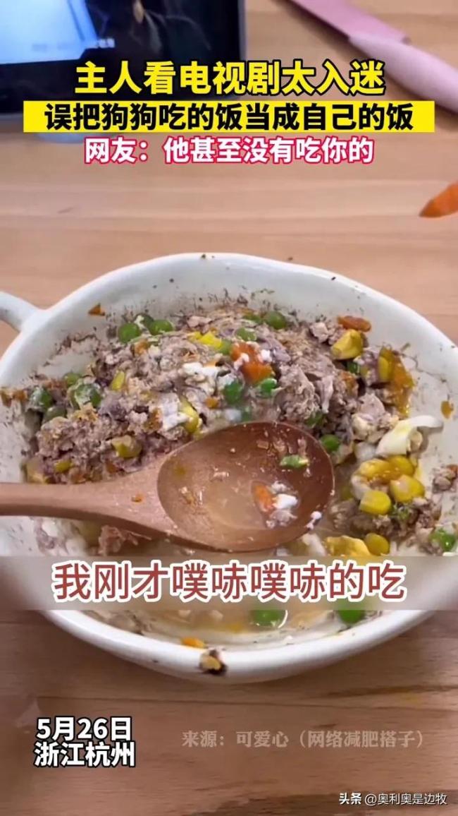 主人误将狗饭当成自己的 吃了一半才发现味道不对
