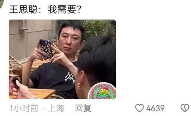 王思聪被问为何不上班？王总用脸回答，一幅我需要吗的表情
