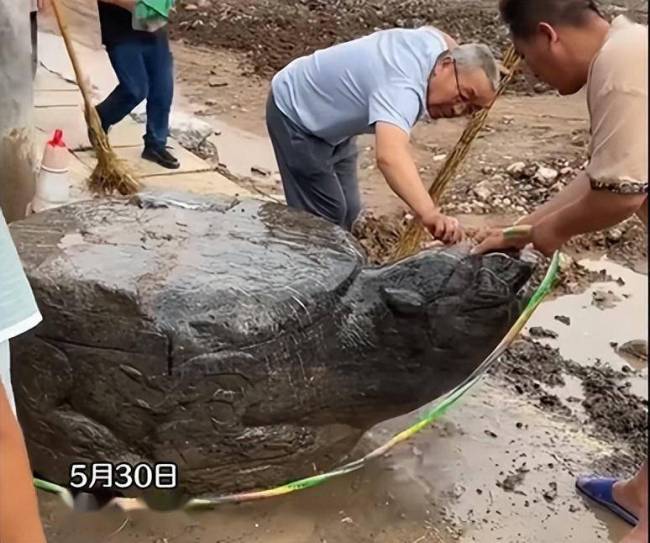 官方通报修路挖出大石龟，村民：后来一只被卖了