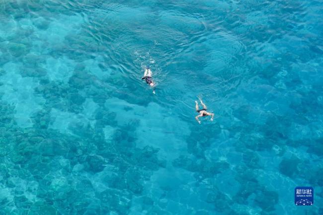 记者手记：世界环境日走近红海“珊瑚避难所”