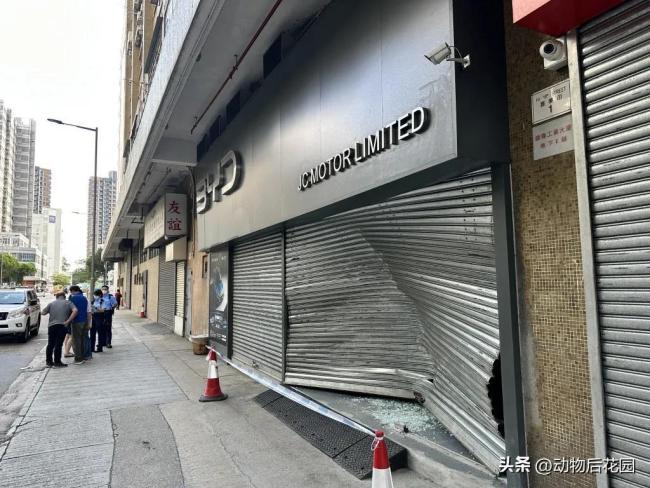 曝比亚迪香港多店被破坏：遭泼红油漆或撞闸门