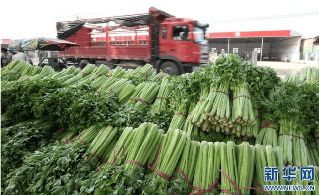 福州老农卖菜被罚10万元，法院：不准予强制执行