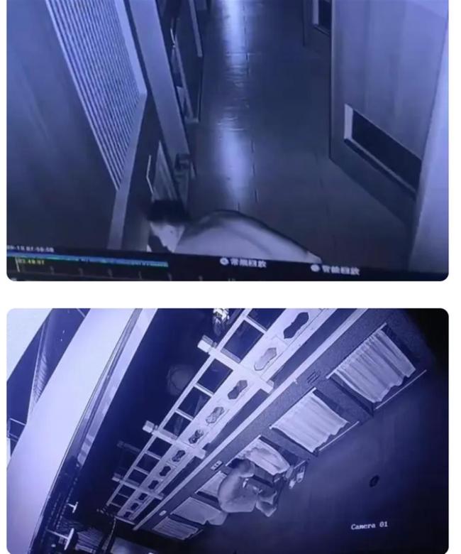 猥亵视频截图.png