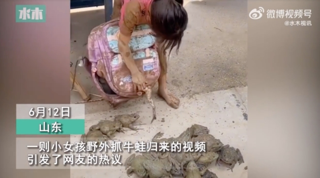 小女孩抓牛蛙后满身是泥，女孩抓牛蛙回家被逮到
