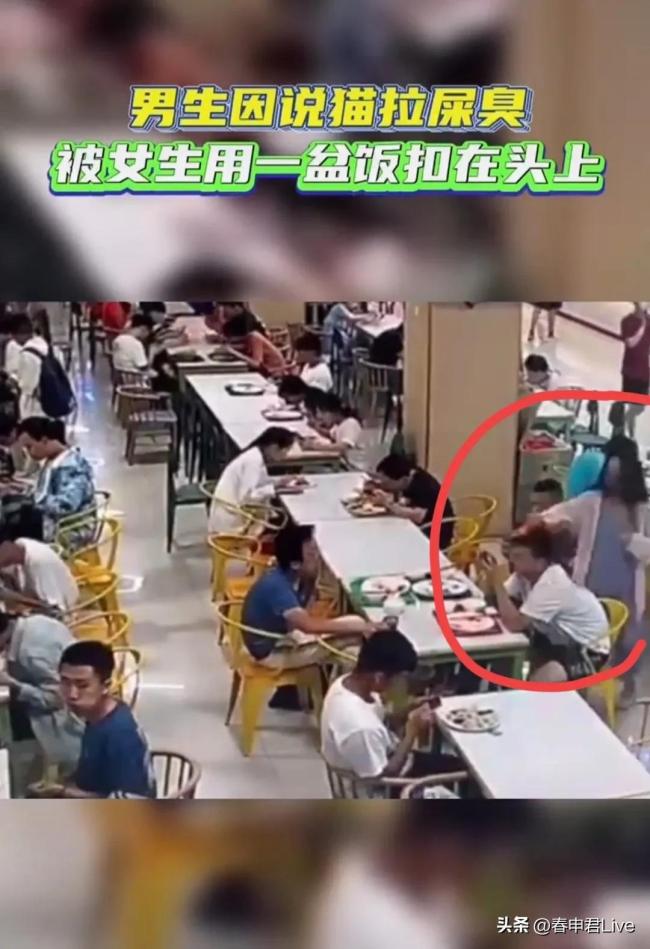 男生说猫屎很臭，被食堂里隔壁爱猫女生泼饭