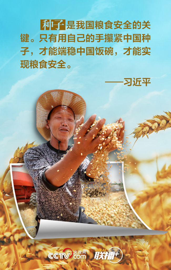 联播+｜夏收时节 习近平“粮”言话农桑