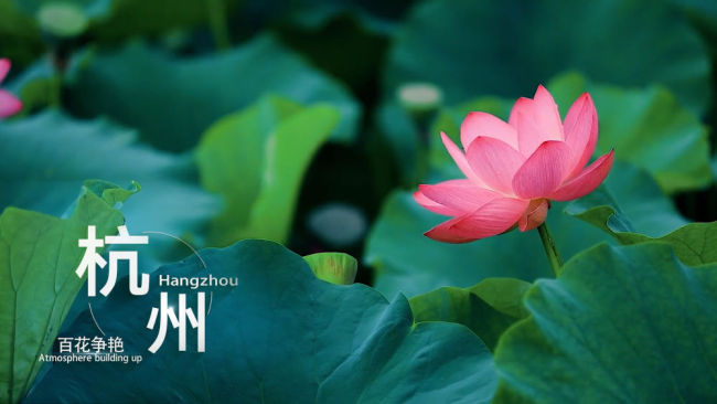 杭州等你来