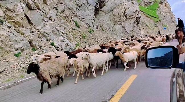 独库公路又“堵哭”了：新疆提前进入旅游旺季 接待成本涨三倍