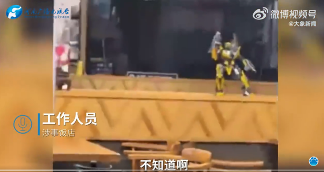 三亚一饭店餐桌上现老鼠 市监局：停业整改，还将收集线索移交综合执法局