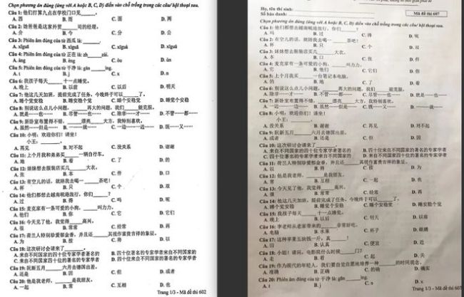 老师称在越南学好中文工资更高 感觉最难还是成语