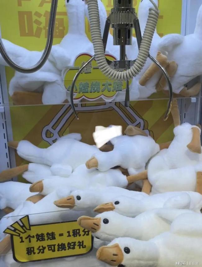 娃娃机抓大白鹅被举报，称要发到网上让群众评论