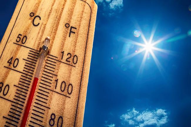 对人类来说多热算太热？科学家揭示人类上限临界温度