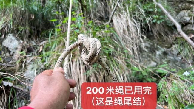 痛心！湖南失联女子遗体已被找到 据说每一株这样的百合花下面都有一个安息的灵魂