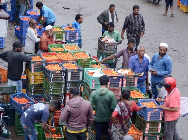 印度爆发“西红柿之乱”：7天两农民因西红柿被杀
