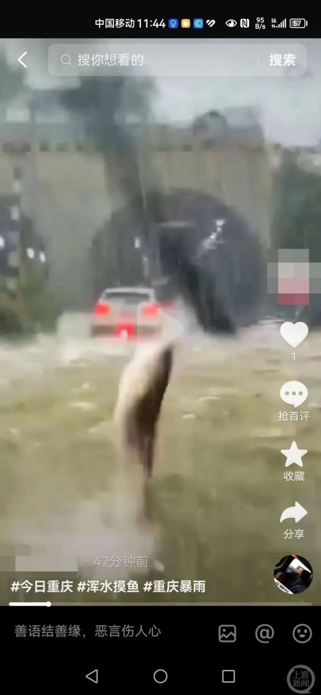 辟谣多个重庆暴雨视频：冲浪上班、外卖骑手游泳……都是假的