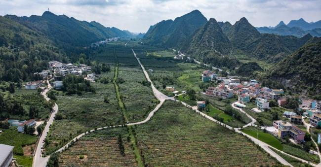 贵州：建好农村公路 为乡村振兴提速