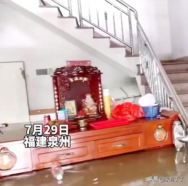 住户一楼被淹冲来8只猪 二师兄：没想到这辈子还能住上别墅了