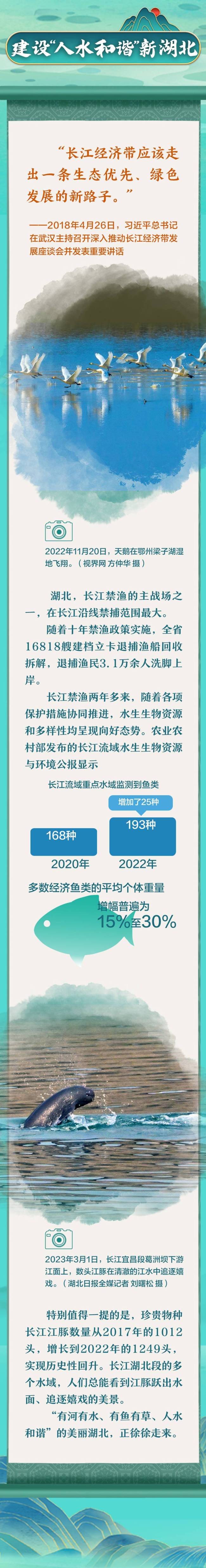 跟着总书记看中国丨青山绿水 潮涌大江