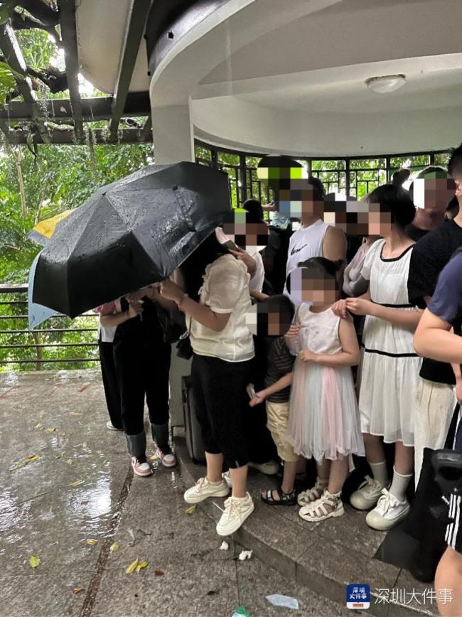 游客游览仙湖植物园遇雷雨请求调车被拒 园方回应：调度好后雨已经停了，就没有派车
