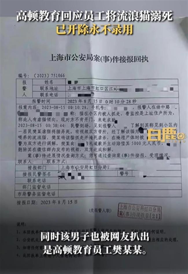 上海一男子虐猫埋尸被发现 工作单位：即刻开除，永不录用