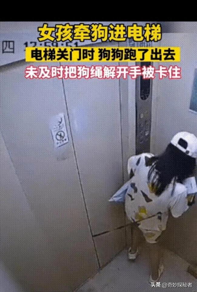 女子在电梯手腕不慎被狗绳勒住崩溃大声喊救命