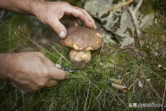 丈夫替人担保被骗欠下百万 女子同时打5份工9年还清巨债