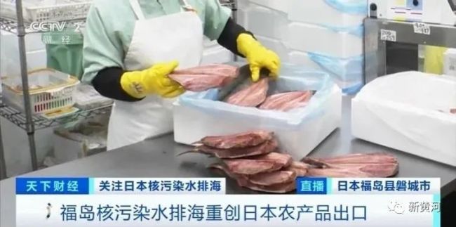 日本渔业受到负面影响：订单取消价格暴跌 渔民入不敷出纷纷转行