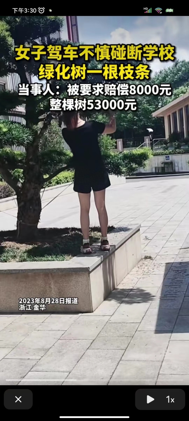 女子撞断绿化树枝被索赔 相关部门正在对该案件进行调查和处理