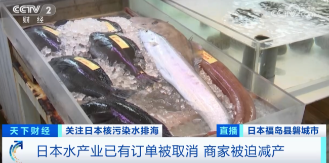 网友拍摄日本超市现状，福岛海鲜半价无人买，日企心态崩了：怎么自己人也这样？