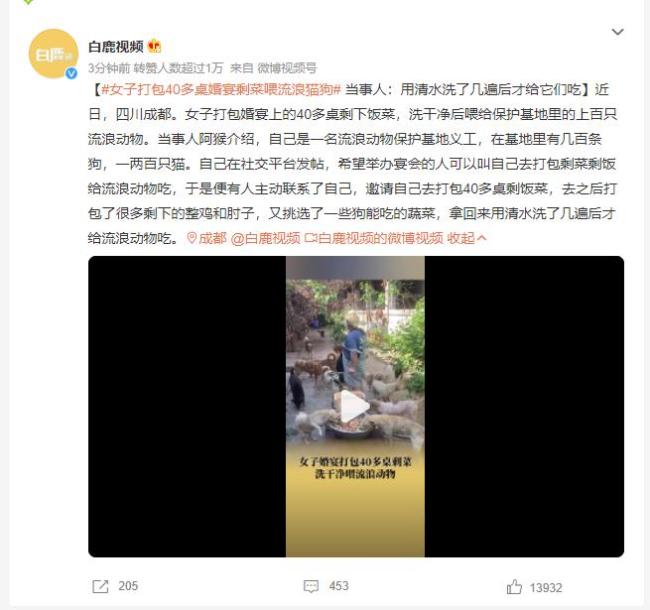 女子打包剩菜喂给流浪狗 用清水洗了几遍