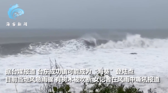 台湾女记者嘶吼报道台风海葵