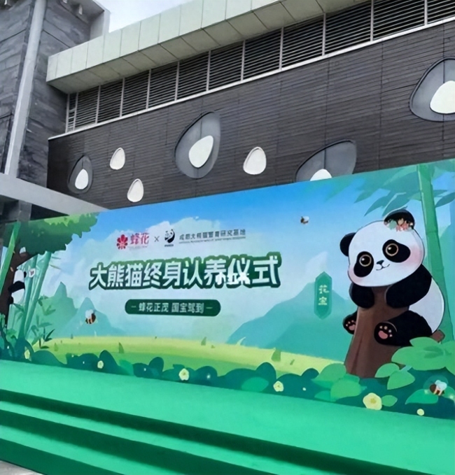 蜂花官宣认养大熊猫，蜂花：该省省，该花花，钱就是要花在刀刃上！
