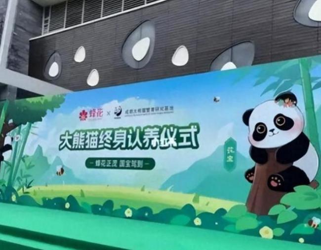 蜂花官宣认养一只大熊猫 国货品牌的责任担当 也相信这只会给蜂花带来更多的好运和成功