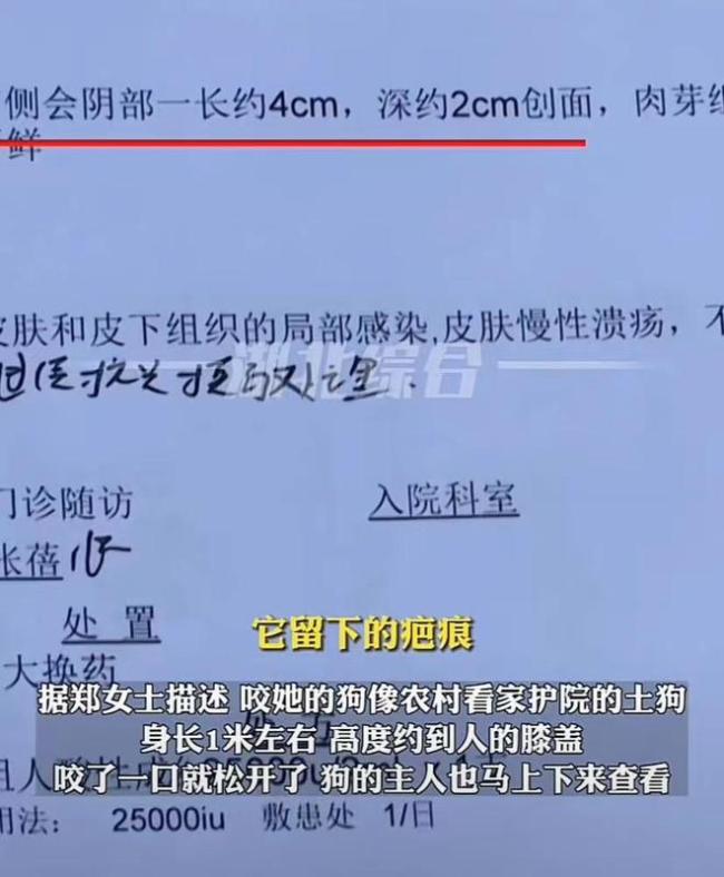 女子夜跑遭恶犬咬伤,事后索赔五千遭到狗主人拒绝
