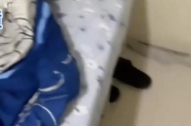 房东借修厕所对女生伸"咸猪手" 一查还是惯犯