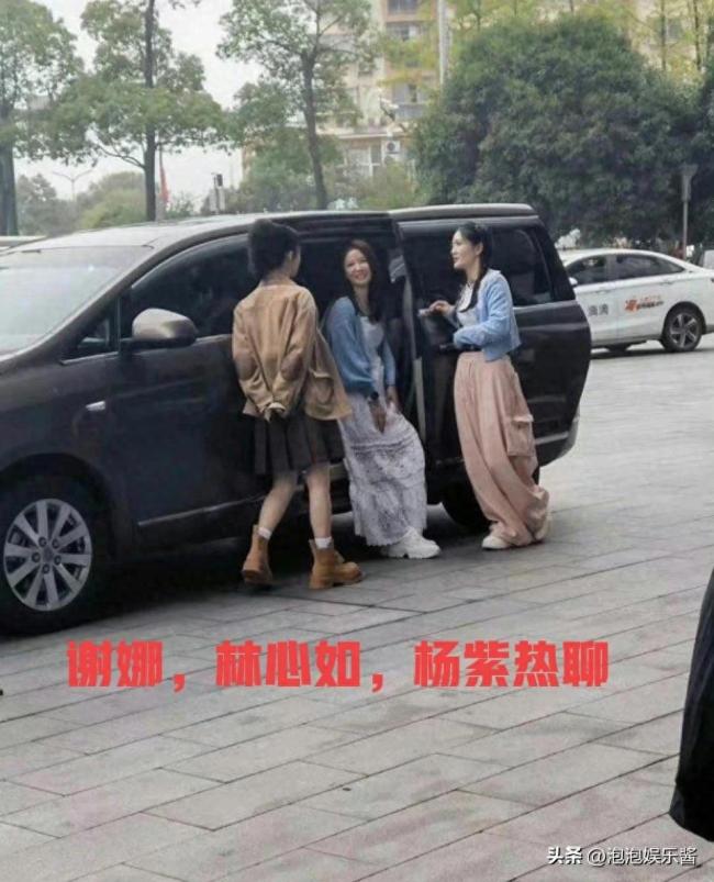 谢娜杨紫林心如同框录综艺，我们的美好生活路透