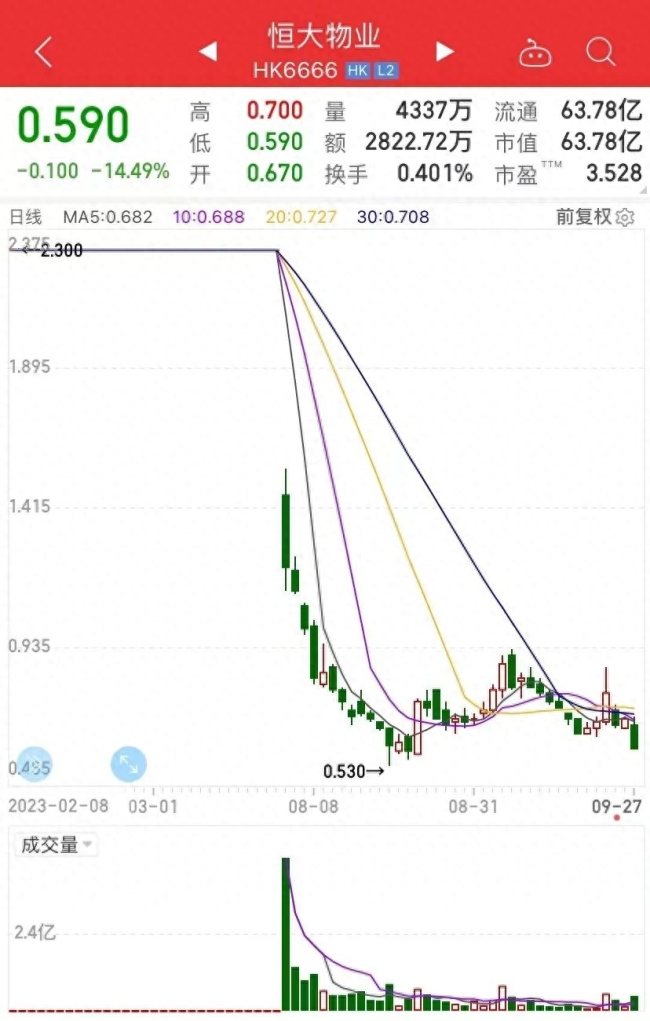 曝许印二儿子被带走，曾主导恒大财富的工作