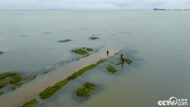 鄱陽湖出現2023年首次長江水倒灌