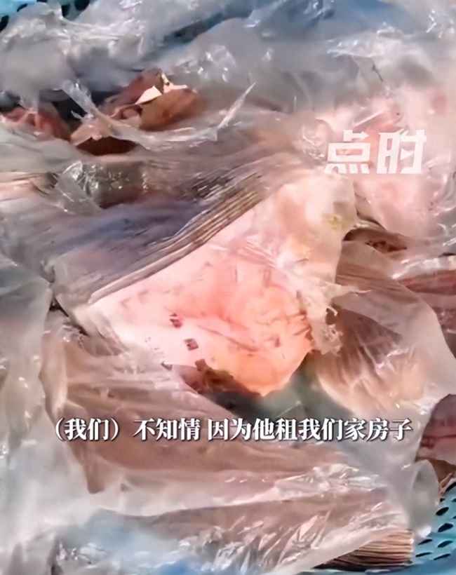 房东挖出租客埋藏的现金:他埋了几个月,准备还债的