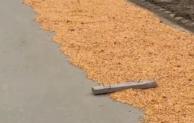 村民晒粮放钉板扎坏车胎 车主：维修花了400块钱