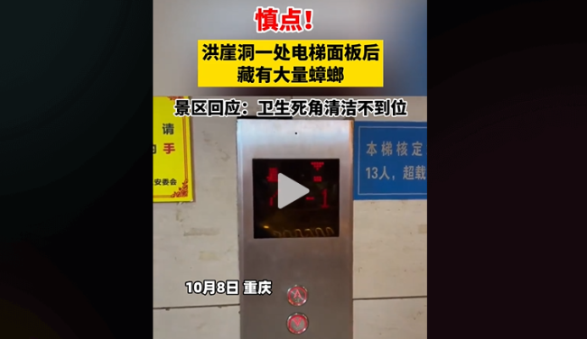 电梯面板下藏满蟑螂！洪崖洞景区回应：系此前卫生死角清洁不到位