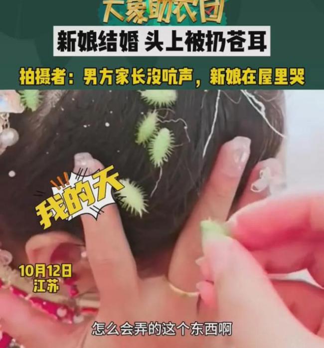 新娘子头上被扔苍耳 网友：这样的婚闹可以取缔了
