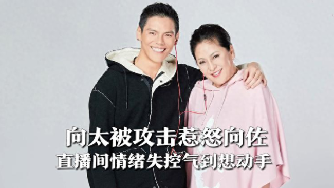 向太被骂，向佐直播时情绪失控，称家人是底线