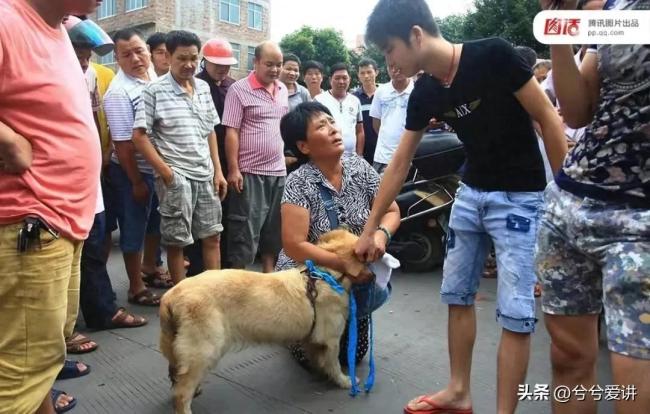 禁止养狗是必要紧急措施吗？在中国可能吗？