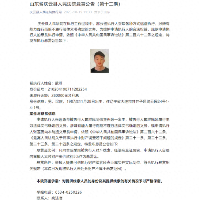 前国脚戴琳欠28万被法院悬赏征集财产线索
