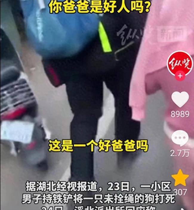 魔怔了？狗未拴绳被男子打死 爱狗人士拦路追问小女孩：你爸爸是好人吗