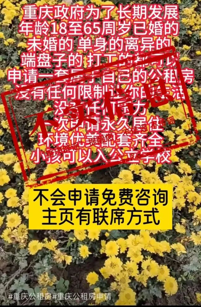 重庆辟谣，网传“公租房不摇号直接分房”不实 