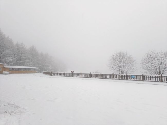 一夜入冬 石家庄的第一场雪来了！全省最低气温普遍下降