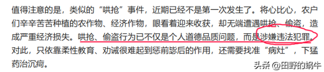 媒体评哄抢频发：与纵容有极大关系！大事化小小事化了本身就是错误的行为